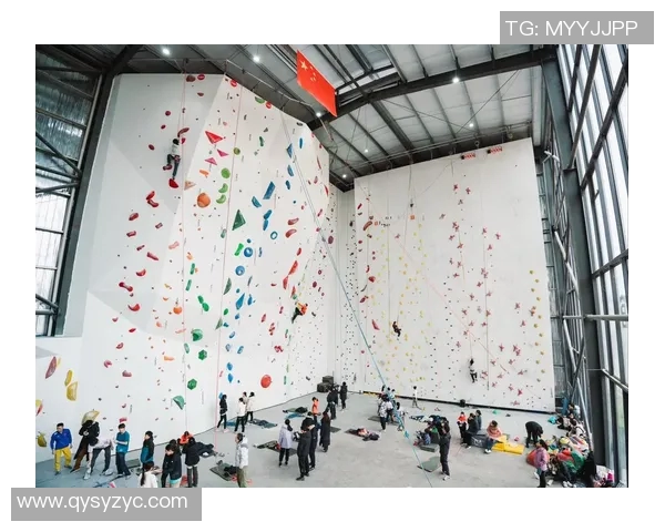 攀岩心理素质评比揭晓上海攀岩队荣获第四名引发关注