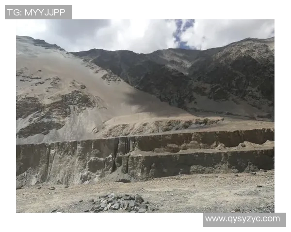 深度对话：探索赵娜在和平精英中的成长与挑战之路