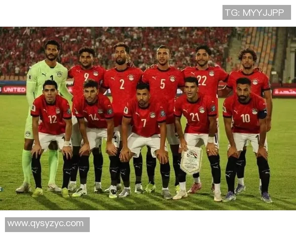 埃及与南非足球历史交锋数据分析与战绩回顾